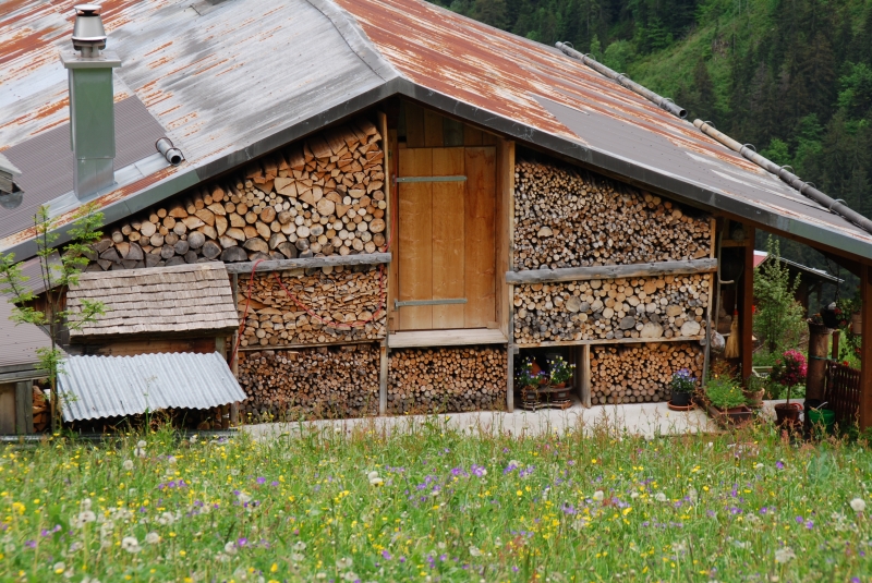 Stacked wood
Keywords: Switzerland Gimmelwald Nikon Building
