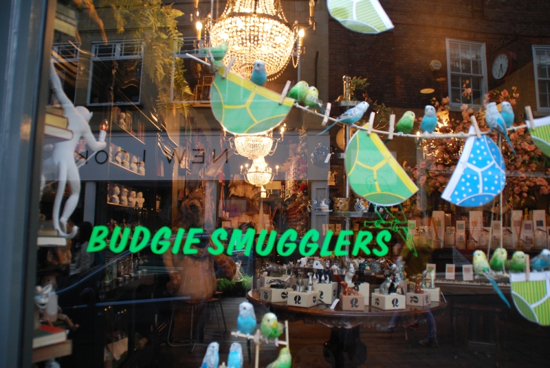 Budgie Smugglers
Keywords: Nikon York Sign