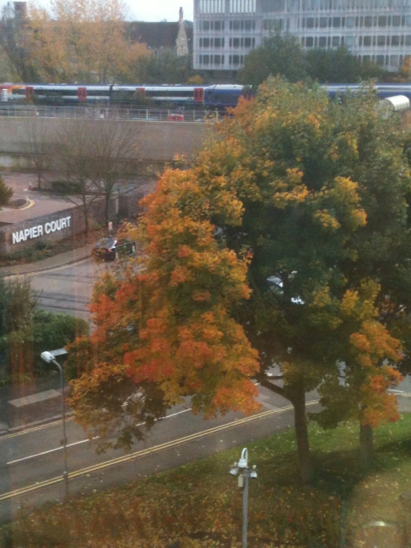 Autumn Leaves
Keywords: Autumn Leaves iPhone Tree
