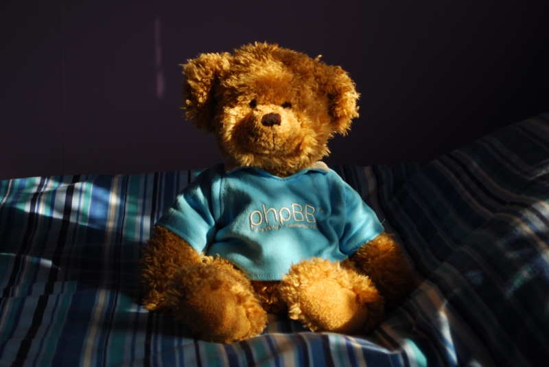 Keywords: Teddy Bear Nikon