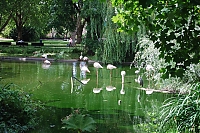 ZSL15-07-09-103.JPG