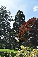 DS1_4806.JPG