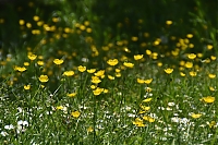 DS1_4815.JPG