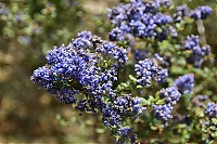 DS1_4820.JPG