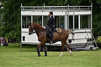 DS1_4860.JPG