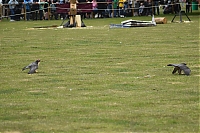 DS1_5491.JPG