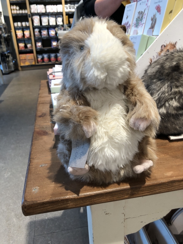 Stuffed Guinea
