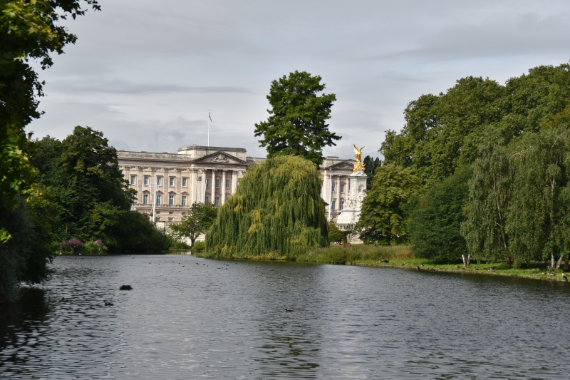 Buckingham Palace from Lake
Keywords: London Buckingham Palace Nikon St James Park Building Lake