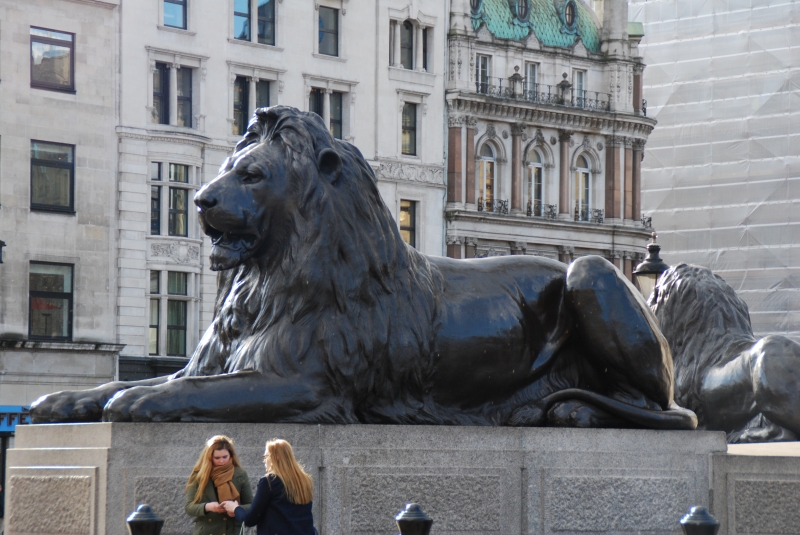 Trafalgar Square - Nelson's Column Bottom
Keywords: London Building Nikon Trafalgar Square Nelson Column