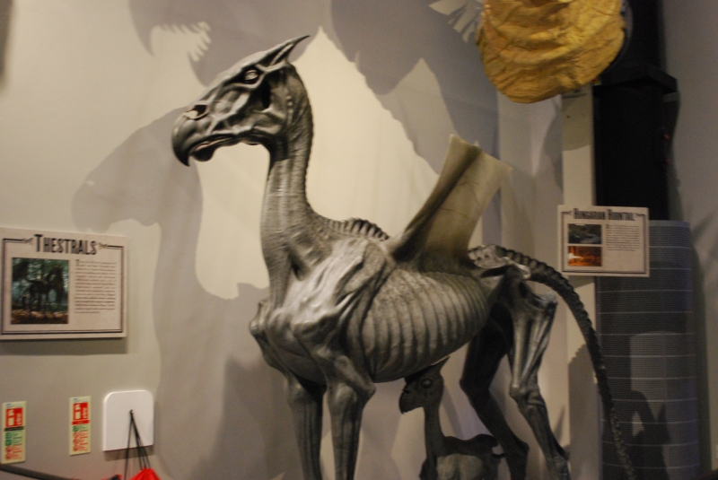 Harry Potter Studio Tour
Creature effects, Thestral
Keywords: London Harry Potter Studio Tour Nikon