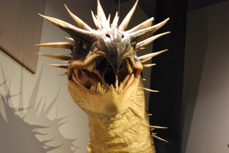 Harry Potter Studio Tour
Creature effects, Hungarian Horntail
Keywords: London Harry Potter Studio Tour Nikon