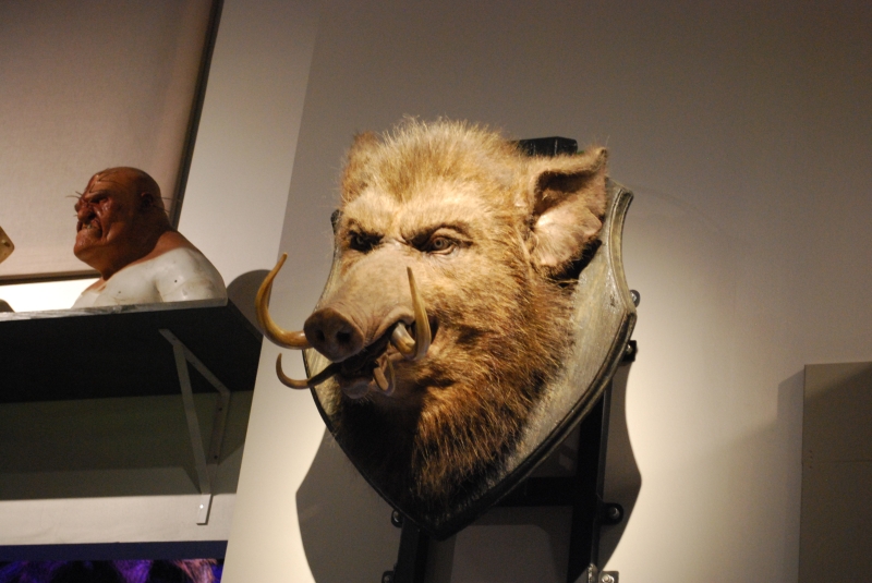 Harry Potter Studio Tour
Creature effects, Hog's Head
Keywords: London Harry Potter Studio Tour Nikon