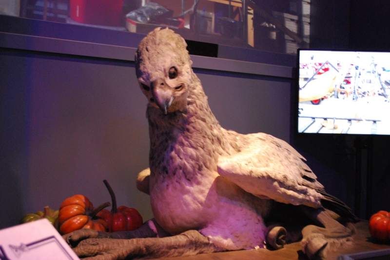 Harry Potter Studio Tour
Creature effects, Hippogriff
Keywords: London Harry Potter Studio Tour Nikon