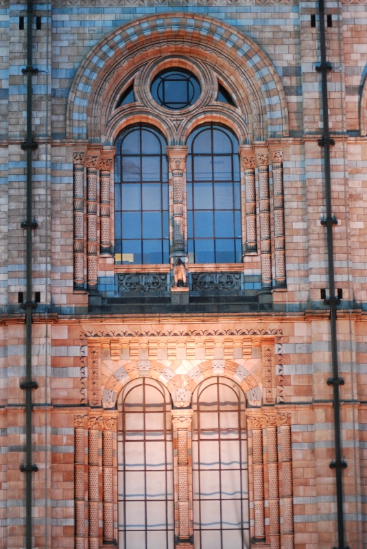 Natural History Museum
Keywords: London Natural History Museum Nikon Night Building Carving