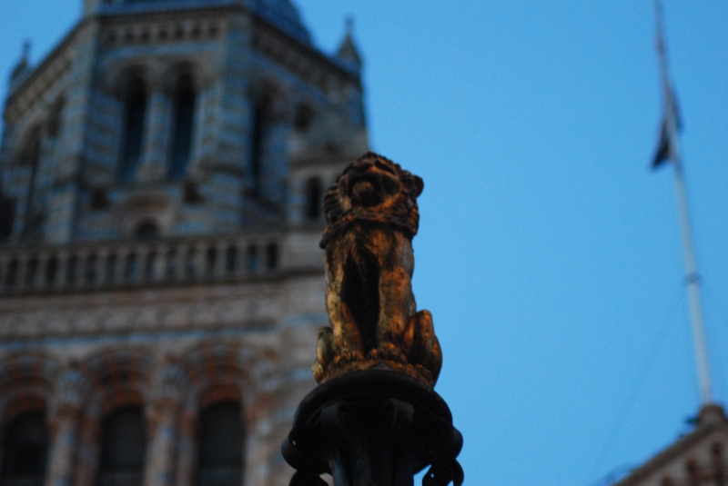 Natural History Museum
Keywords: London Natural History Museum Nikon Building Carving