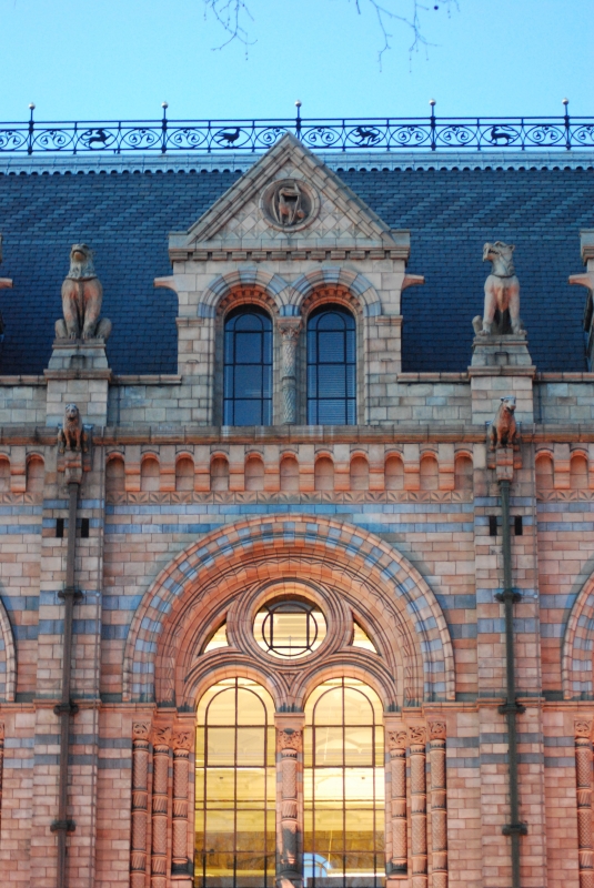 Natural History Museum
Keywords: London Natural History Museum Nikon Night Building Carving