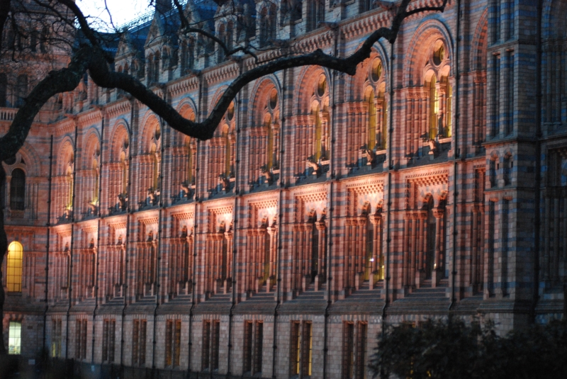 Natural History Museum
Keywords: London Natural History Museum Nikon Night Building Carving