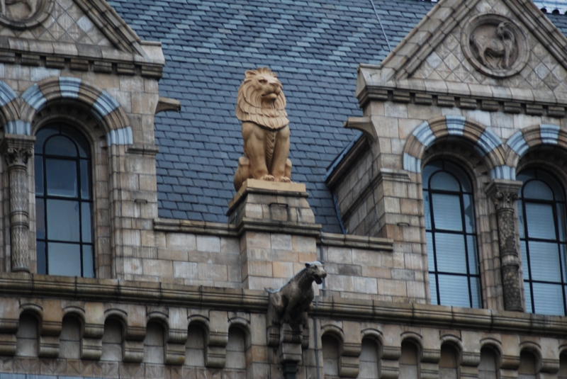 Natural History Museum
Keywords: London Natural History Museum Nikon Building Carving