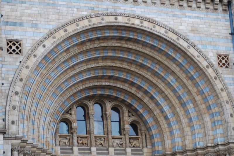 Natural History Museum
Keywords: London Natural History Museum Nikon Building Carving