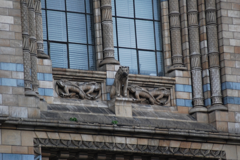 Natural History Museum
Keywords: London Natural History Museum Nikon Building Carving