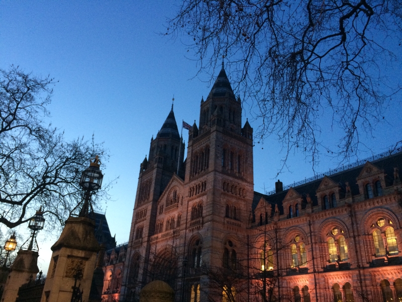 Natural History Museum
Keywords: London Natural History Museum Night Building Carving iPhone