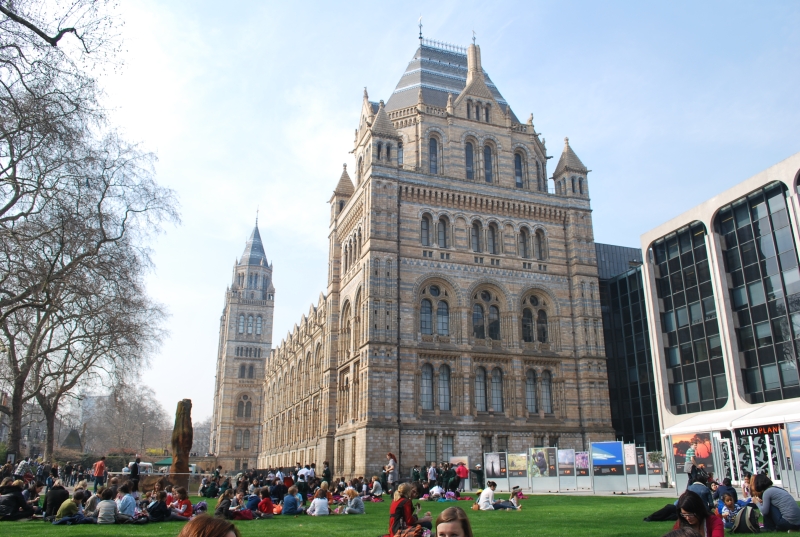 Natural History Museum
Keywords: London Natural History Museum Building Nikon