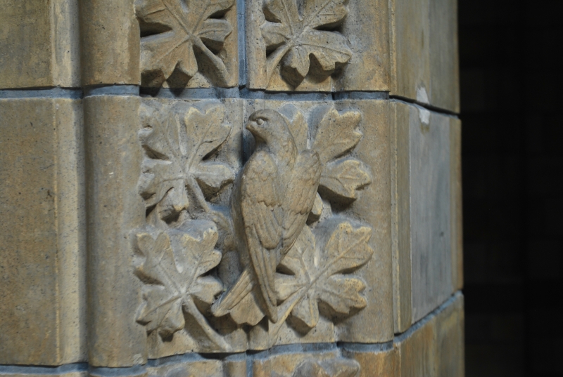 Natural History Museum
Keywords: London Natural History Museum Carving Nikon