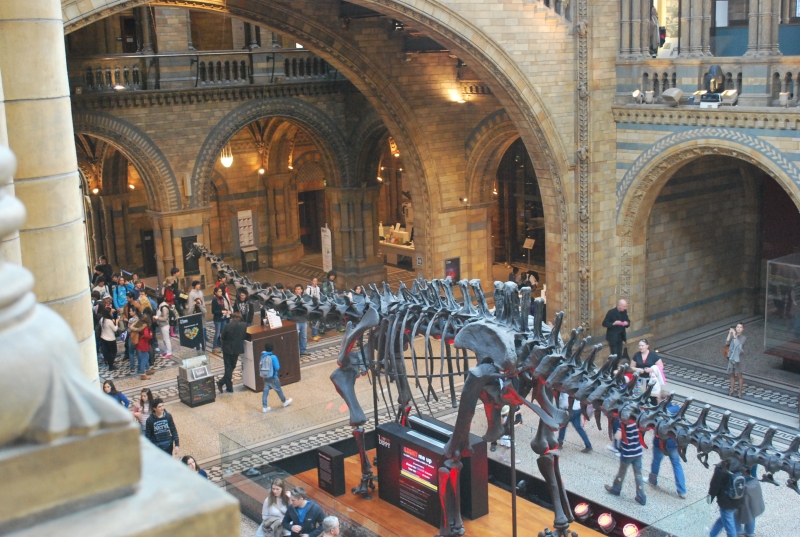 Natural History Museum
I remember Dippy being much bigger as a child
Keywords: Natural History Museum Dinosaur Skeleton Nikon