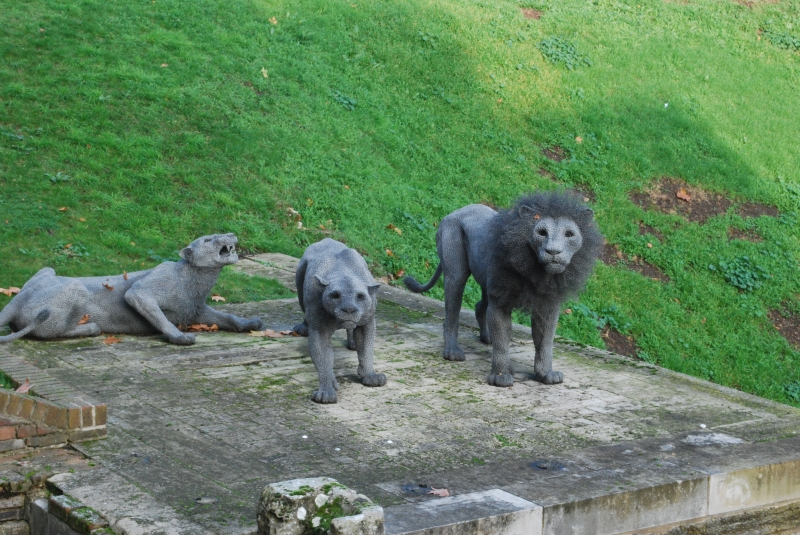 Tower of London - Lions
Keywords: Tower London Building Nikon