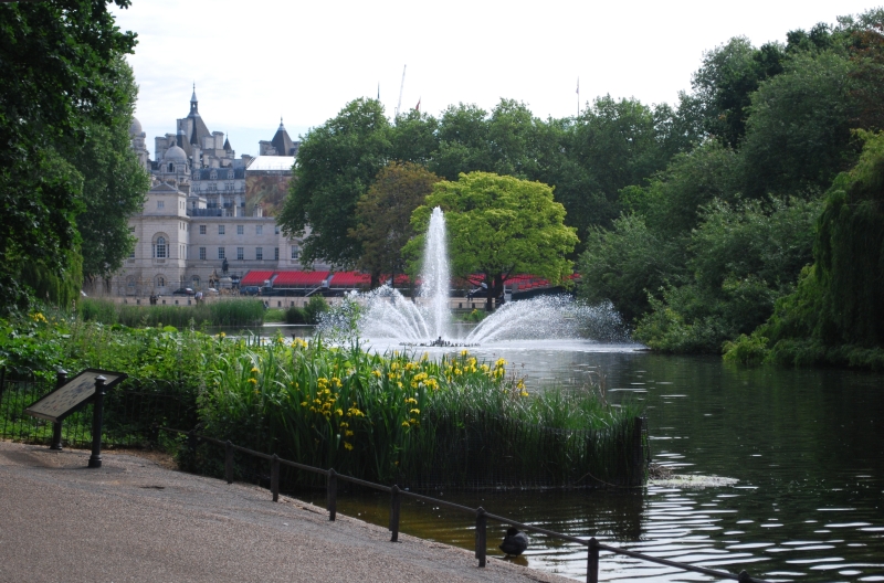 Saint James Park Fountain
Keywords: London Saint James Park Nikon