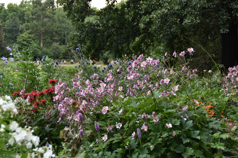 Keywords: London Nikon St James Park