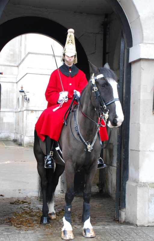 Horse Guard
Keywords: London Nikon Animal Horse Guards Parade
