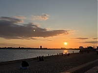 IMG_0516.JPG