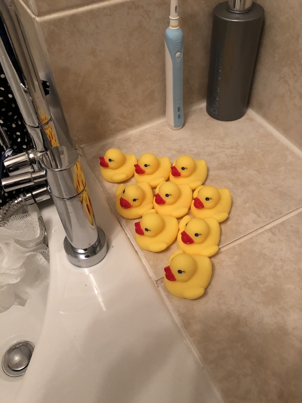 Duckies
Housewarming gift as I now have a bathtub!
Keywords: Reading Moving iPhone