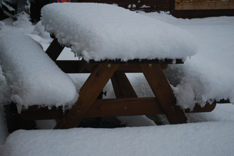 Snow
Keywords: Reading Snow Garden Nikon
