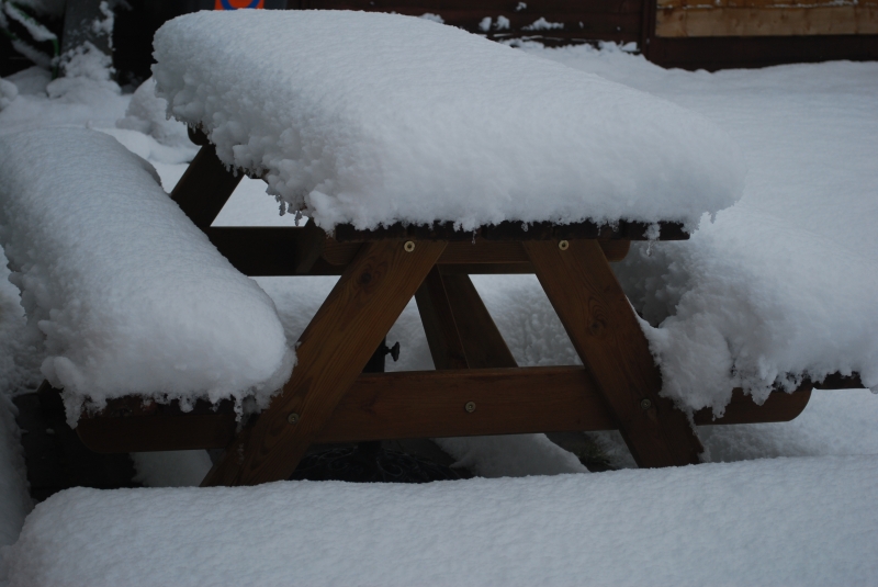 Snow
Keywords: Reading Snow Garden Nikon