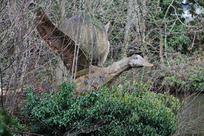 Bird Carving
Keywords: Maiden Earleigh Lake Reading Carving Nikon