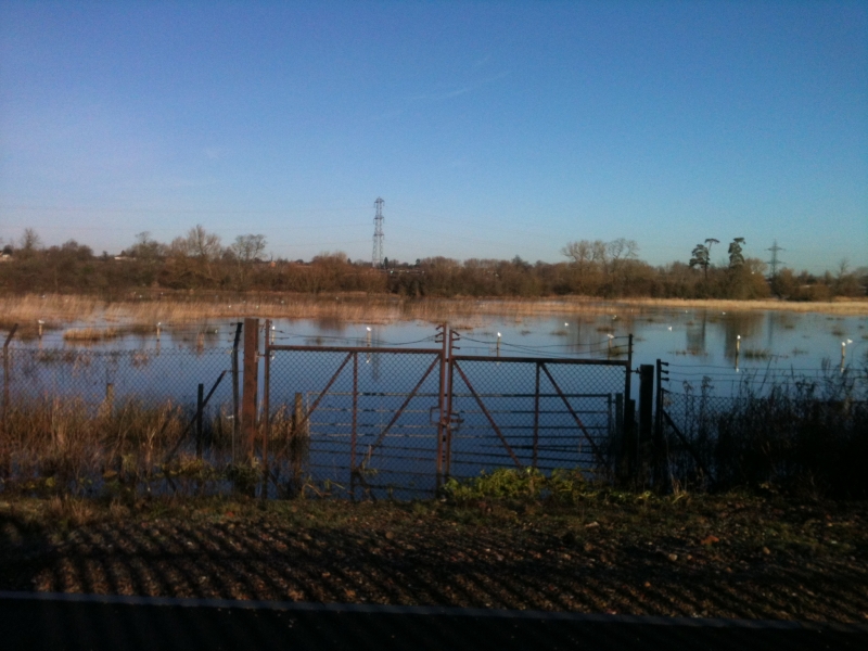 Local Flooding 
Off Rose Kiln Lane, looking north
Keywords: Reading Flooding iPhone Seagull Bird