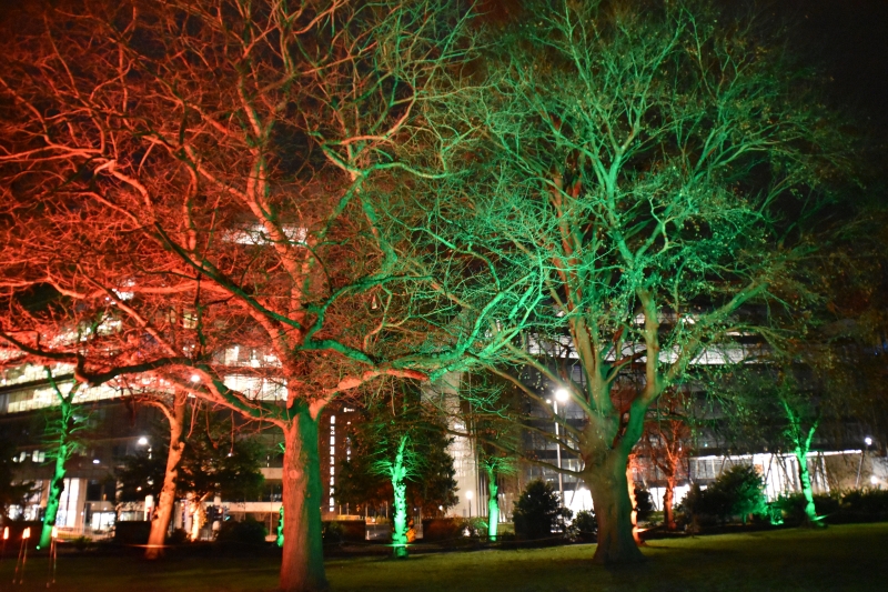 Keywords: Reading Nikon Forbury Gardens Night