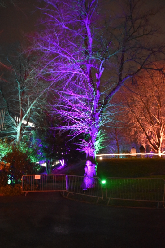 Keywords: Reading Nikon Forbury Gardens Night