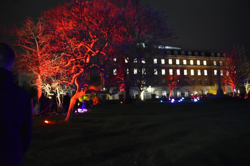 Keywords: Reading Nikon Forbury Gardens Night