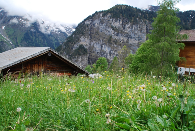 Landscape
Keywords: Switzerland Gimmelwald Nikon Landscape Building