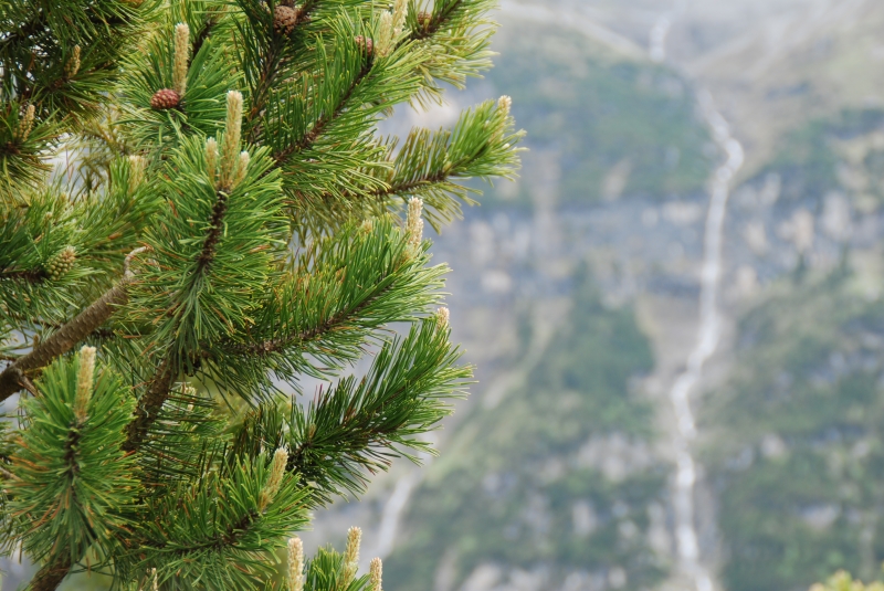 Landscape
Keywords: Switzerland Gimmelwald Nikon Landscape