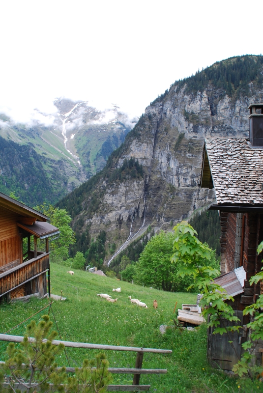 Landscape
Keywords: Switzerland Gimmelwald Nikon Landscape