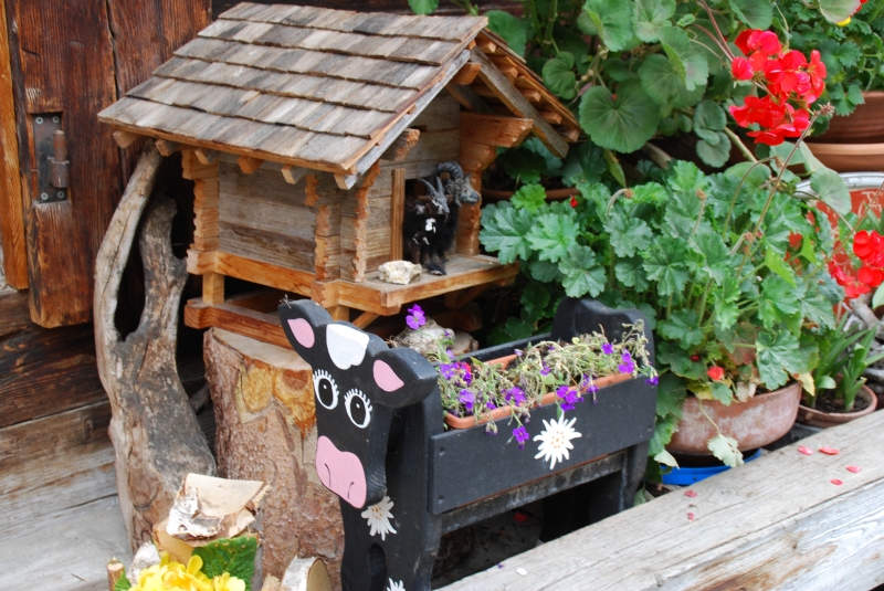 Flower box garden
Keywords: Switzerland Gimmelwald Nikon Flower