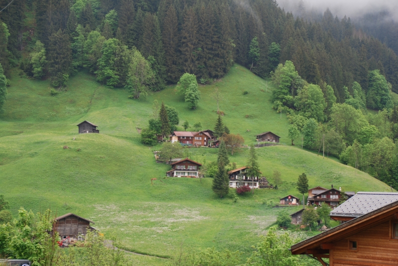 Grindelwald
Keywords: Switzerland Grindelwald Nikon