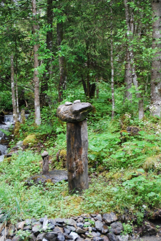 Woodland art
Keywords: Switzerland Grindelwald Nikon