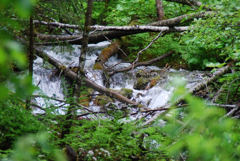 Stream
Keywords: Switzerland Grindelwald Nikon Stream