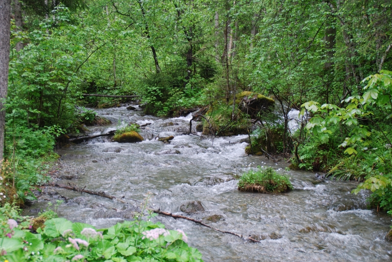 Stream
Keywords: Switzerland Grindelwald Nikon Stream