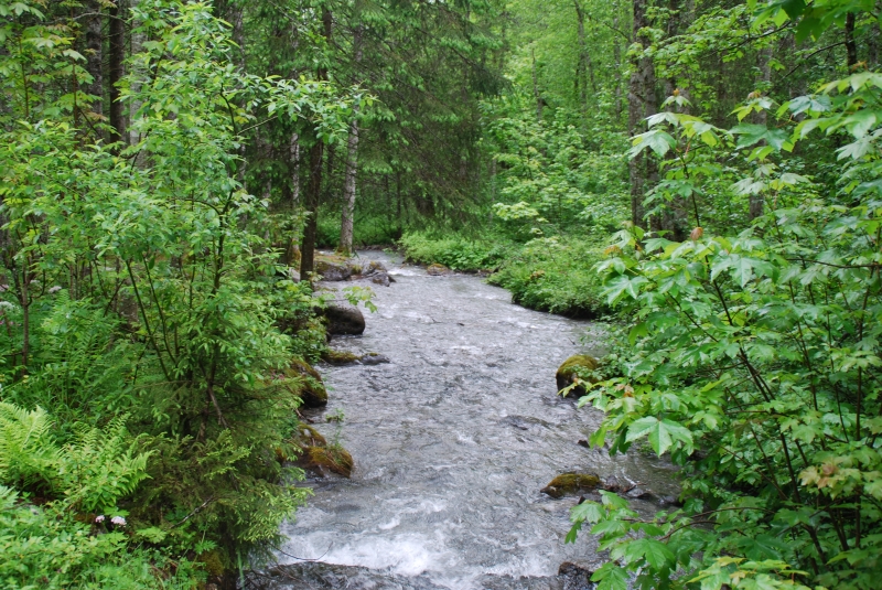 Stream
Keywords: Switzerland Grindelwald Nikon Stream